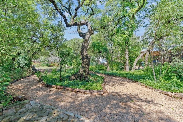 6615 La Concha Pass, Austin, TX 78749 - view of yard
