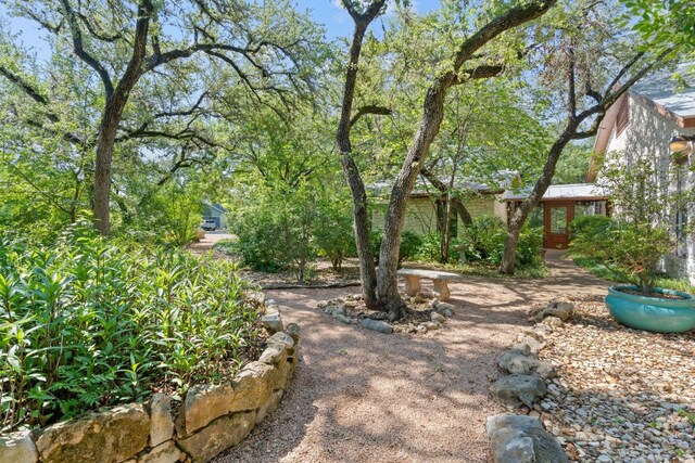 6615 La Concha Pass, Austin, TX 78749 - view of yard