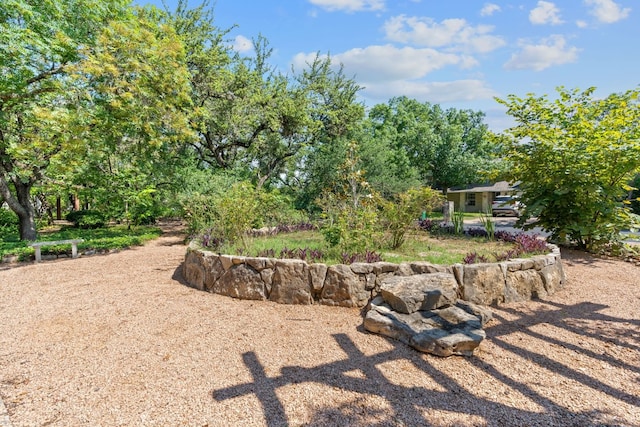 6615 La Concha Pass, Austin, TX 78749 - view of yard