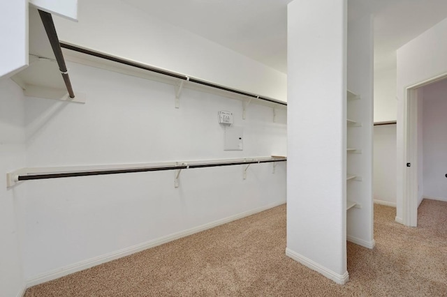 spacious closet featuring light carpet