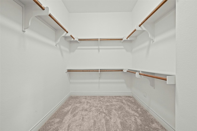 walk in closet featuring carpet floors