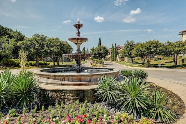 102 Gallia Dr Unit 3, Austin, TX 78734 - view of property's community