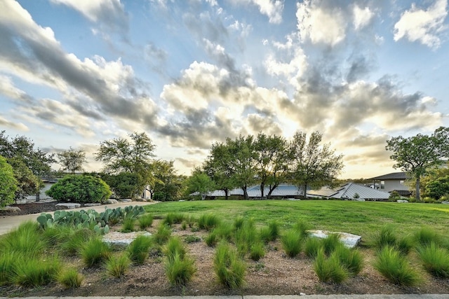 exterior space with a lawn