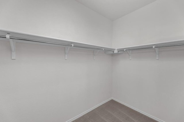 4805 Cressal Dr, Pflugerville, TX 78653 - spacious closet with carpet flooring
