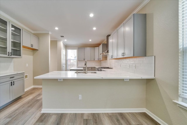 kitchen featuring tasteful backsplash, a sink, a peninsula, and light wood finished floors