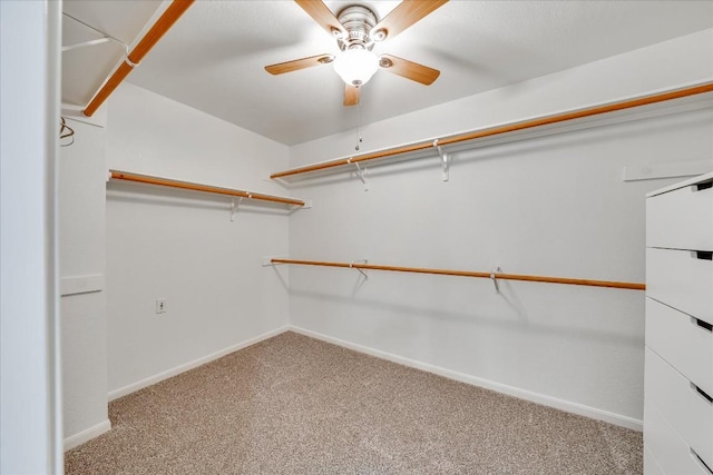 walk in closet with a ceiling fan and light colored carpet