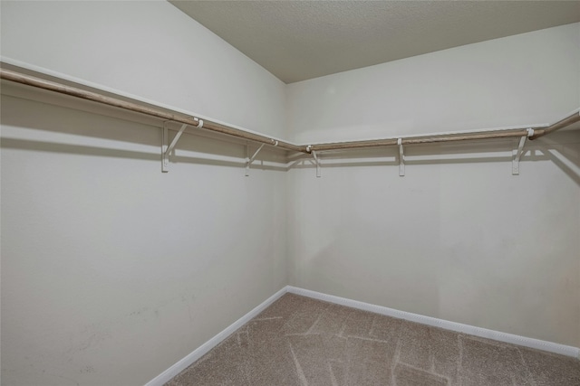 spacious closet featuring carpet flooring