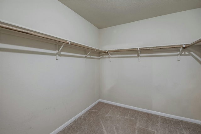 939 Alamo Plaza Dr, Cedar Park, TX 78613 - photo 24