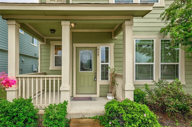 939 Alamo Plaza Dr, Cedar Park, TX 78613 - photo 8