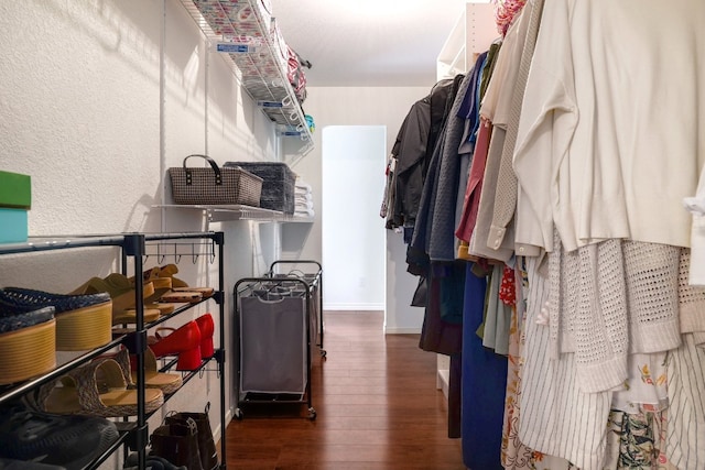 walk in closet featuring wood finished floors