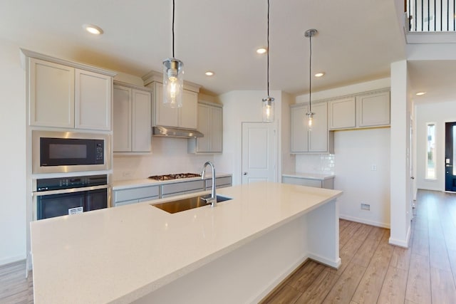 kitchen featuring stainless steel appliances, tasteful backsplash, a sink, light wood-type flooring, and under cabinet range hood