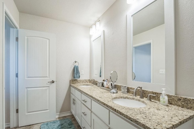 205 Birch Oak Ln, Georgetown, TX 78628 - bathroom featuring a sink, double vanity, and a textured wall