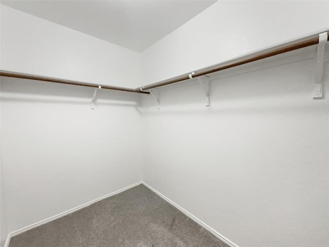 12804 Sago Palm Trl, Elgin, TX 78621 - spacious closet featuring dark colored carpet