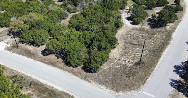 LOT32 Garner Ranch Rd, Bertram, TX 78605