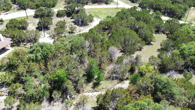 LOT32 Garner Ranch Rd, Bertram, TX 78605