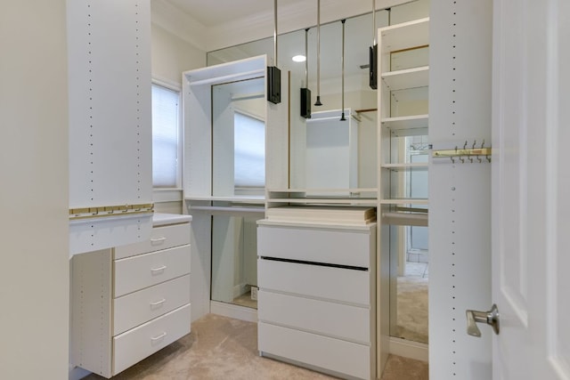 1313 Brians Meadow Cv, Austin, TX 78746 - photo 23