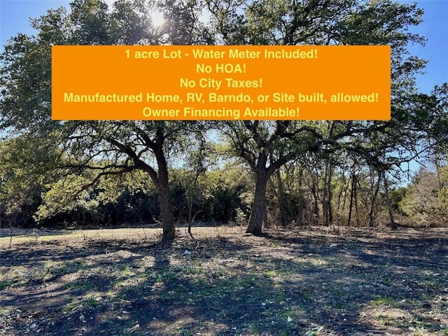 TBD County Road 330, Bertram TX, 78605 land for sale