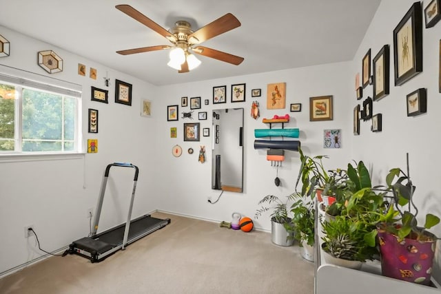 exercise room featuring carpet floors and a ceiling fan