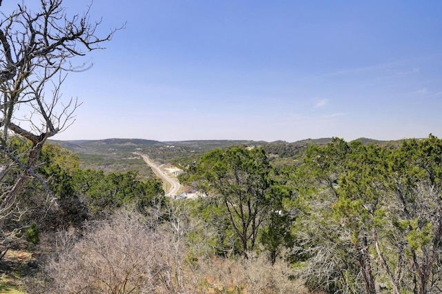 mountain view featuring a forest view