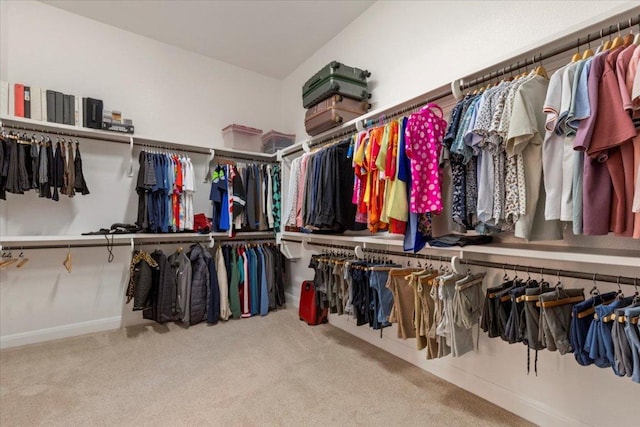 walk in closet featuring carpet floors