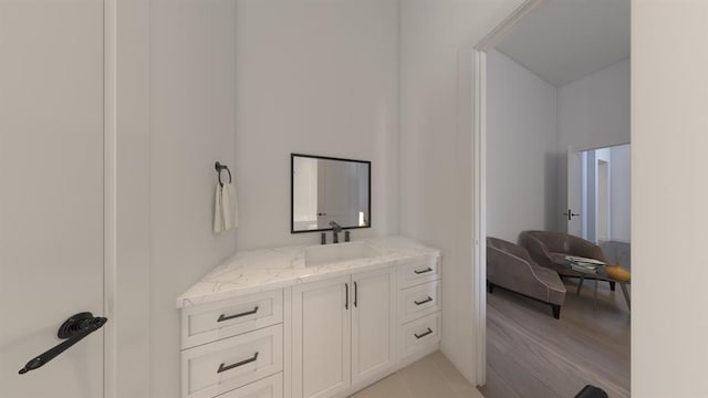 bathroom featuring wood finished floors and vanity