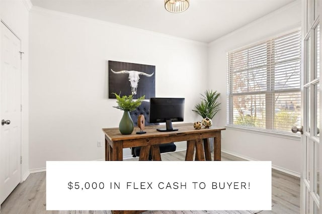 217 Bonnet Blvd, Georgetown, TX 78628 - office area with light wood-type flooring and ornamental molding