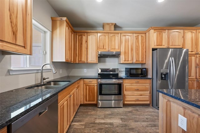 kitchen featuring under cabinet range hood, dark stone counters, stainless steel appliances, and a sink