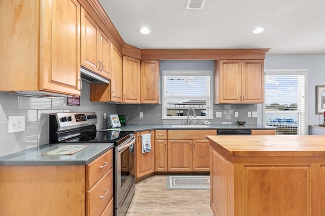 kitchen with wooden counters, backsplash, a sink, and stainless steel range with electric cooktop