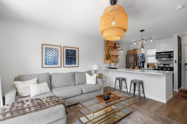 living area featuring rail lighting, baseboards, and wood finished floors