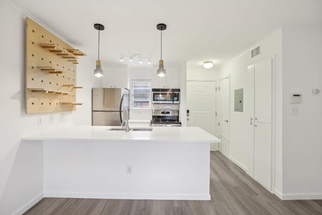 1422 Collier St Unit 102, Austin, TX 78704 - kitchen featuring appliances with stainless steel finishes, a sink, a peninsula, electric panel, and light wood finished floors