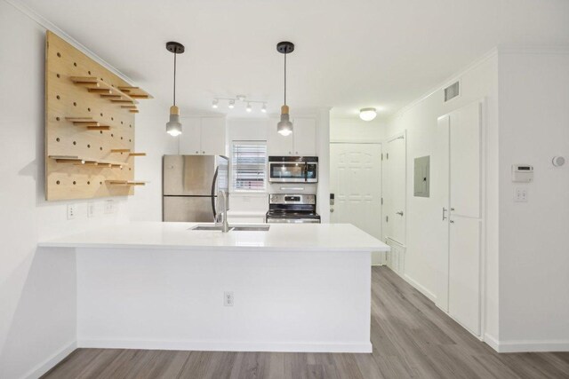 1422 Collier St Unit 102, Austin, TX 78704 - kitchen featuring stainless steel appliances, a peninsula, light wood finished floors, light countertops, and electric panel