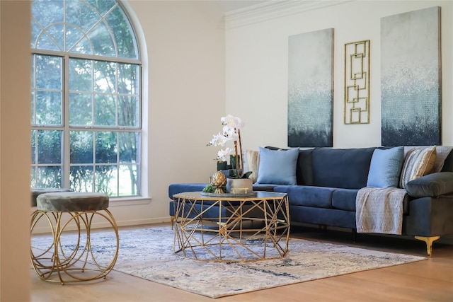 living area with ornamental molding, baseboards, and wood finished floors