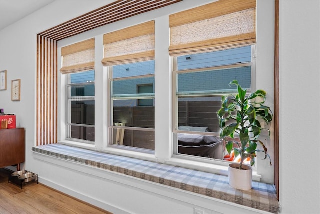 interior details with baseboards and wood finished floors