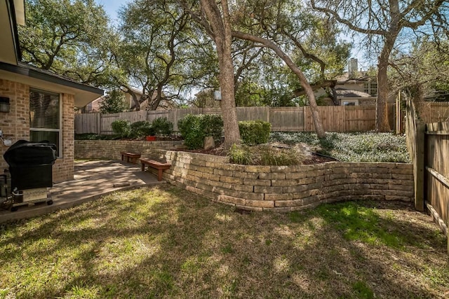 view of yard featuring a patio and a fenced backyard