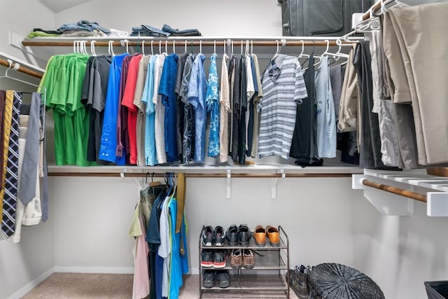 20602 Falcon, Lago Vista, TX 78645 - spacious closet featuring carpet