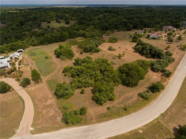 TBD Moccasin Cyn, Cedar Creek TX, 78612 land for sale