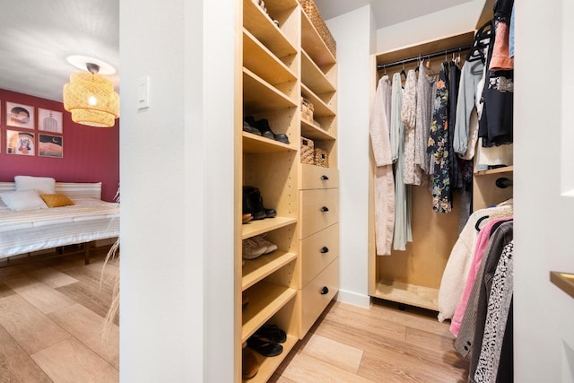 spacious closet featuring wood finished floors