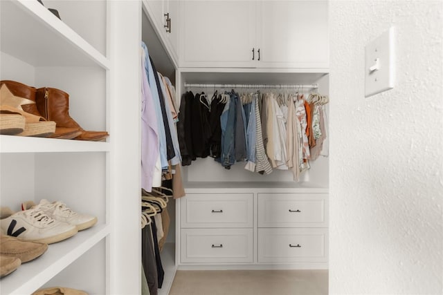 view of spacious closet