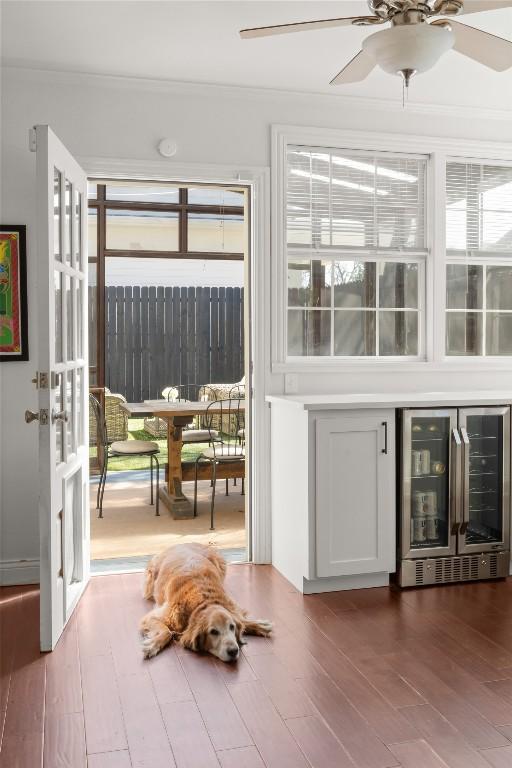 interior space featuring a ceiling fan, beverage cooler, crown molding, and wood finished floors