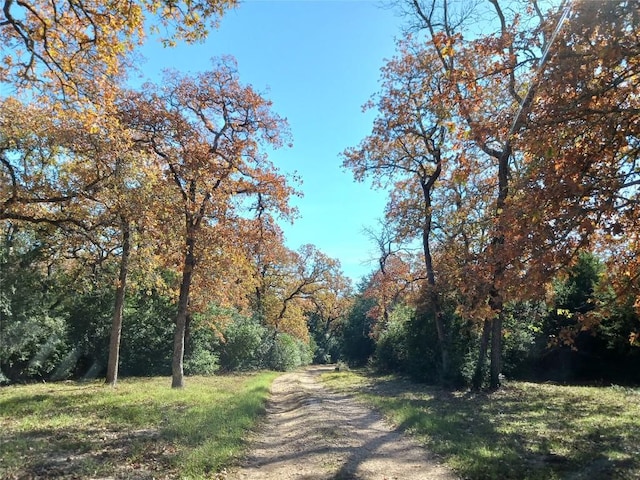 view of street featuring a forest view