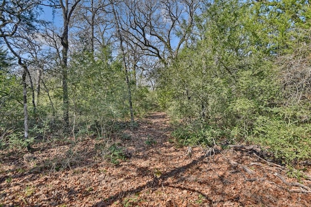 view of landscape featuring a view of trees