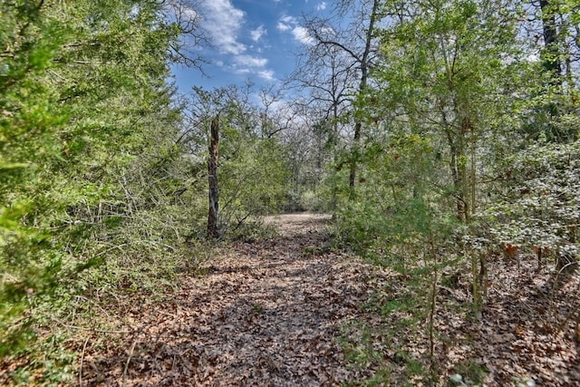 view of nature with a forest view