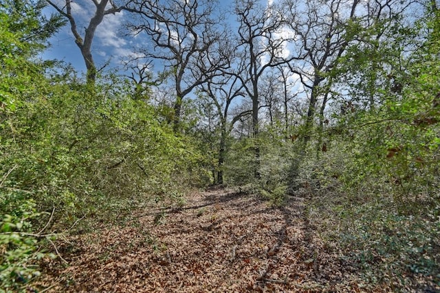 view of landscape featuring a wooded view