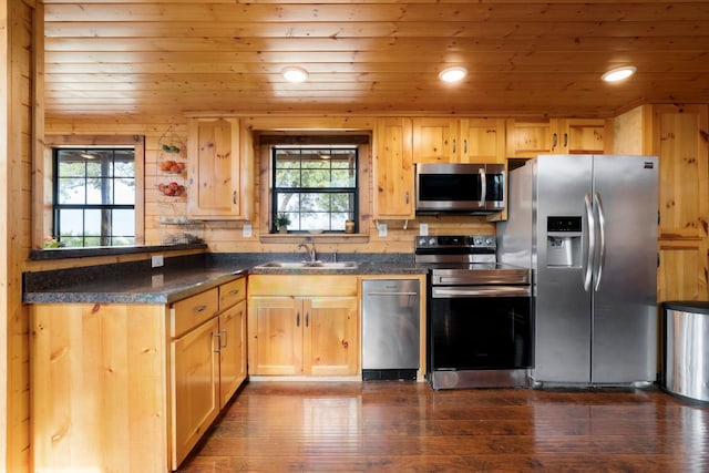 kitchen with stainless steel appliances, plenty of natural light, a sink, and dark countertops