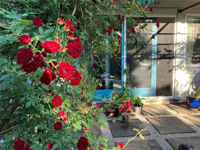 8908 Hunters Trce, Austin, TX 78758 - photo 16
