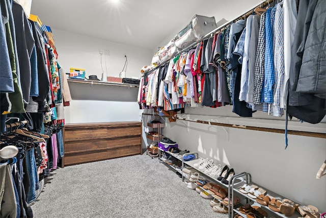 spacious closet featuring carpet floors