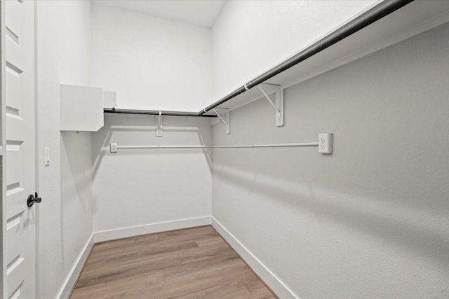 spacious closet with light wood-type flooring