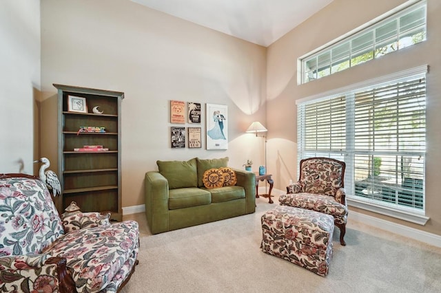 114 Hazelnut Ct, Driftwood, TX 78619 - carpeted living room featuring baseboards and a towering ceiling