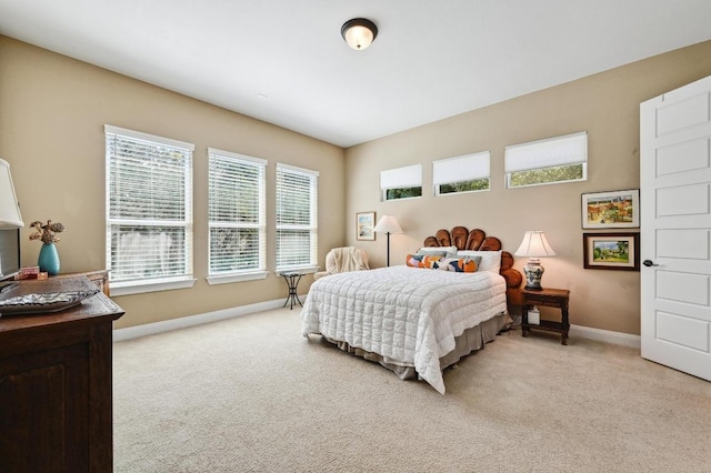 114 Hazelnut Ct, Driftwood, TX 78619 - bedroom featuring light carpet