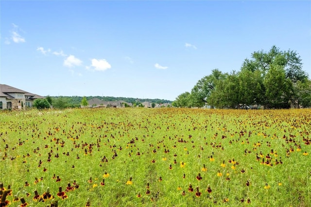 114 Hazelnut Ct, Driftwood, TX 78619 - view of local wilderness featuring rural landscape